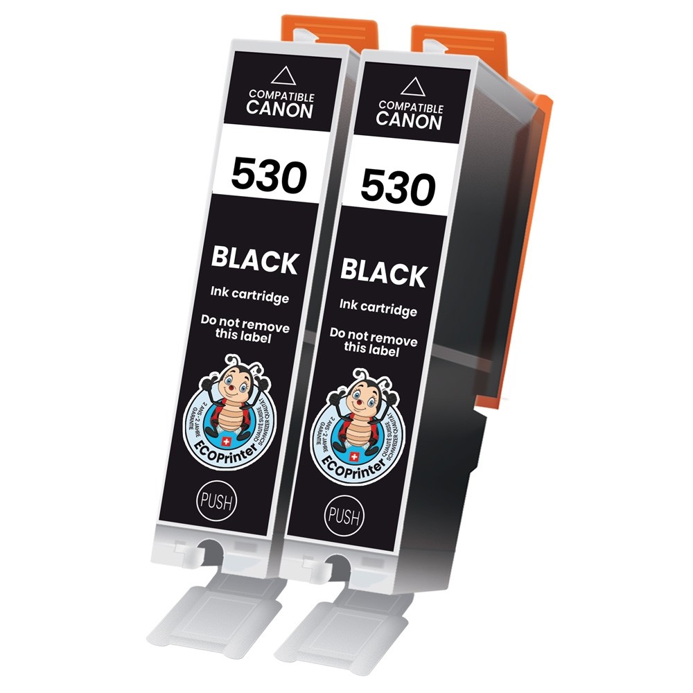 Pack de 2 cartouches ECOPrint équivalent à Canon PGI-530